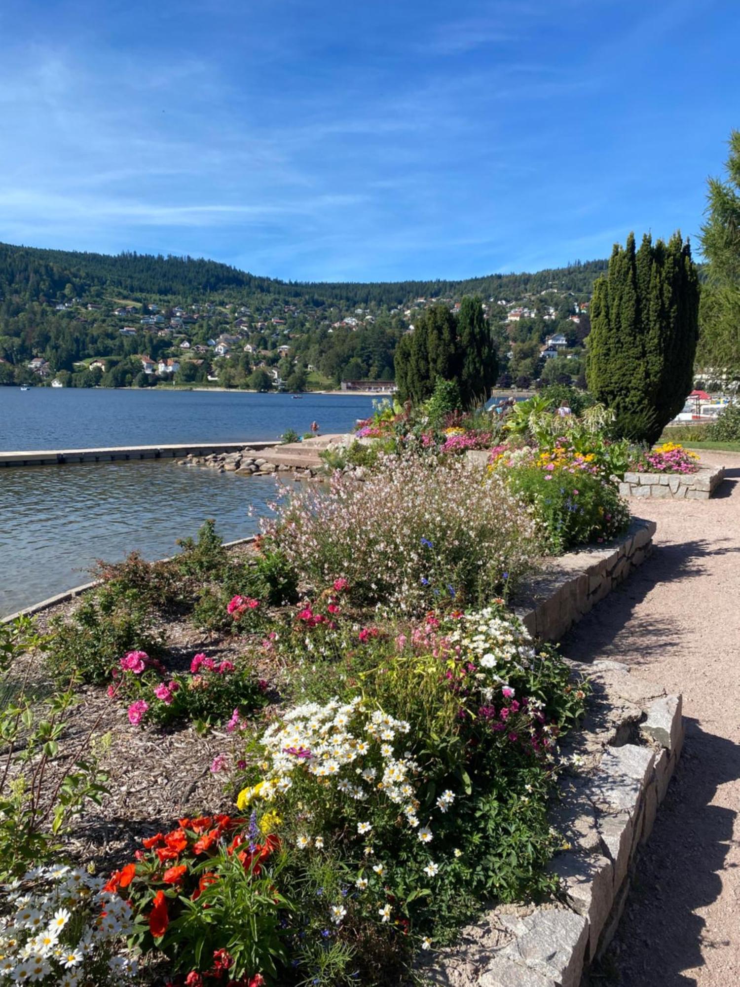 Charmant Chalet, Spacieux, Proche Du Lac, Vue Sur La Montagne Gérardmer Extérieur photo