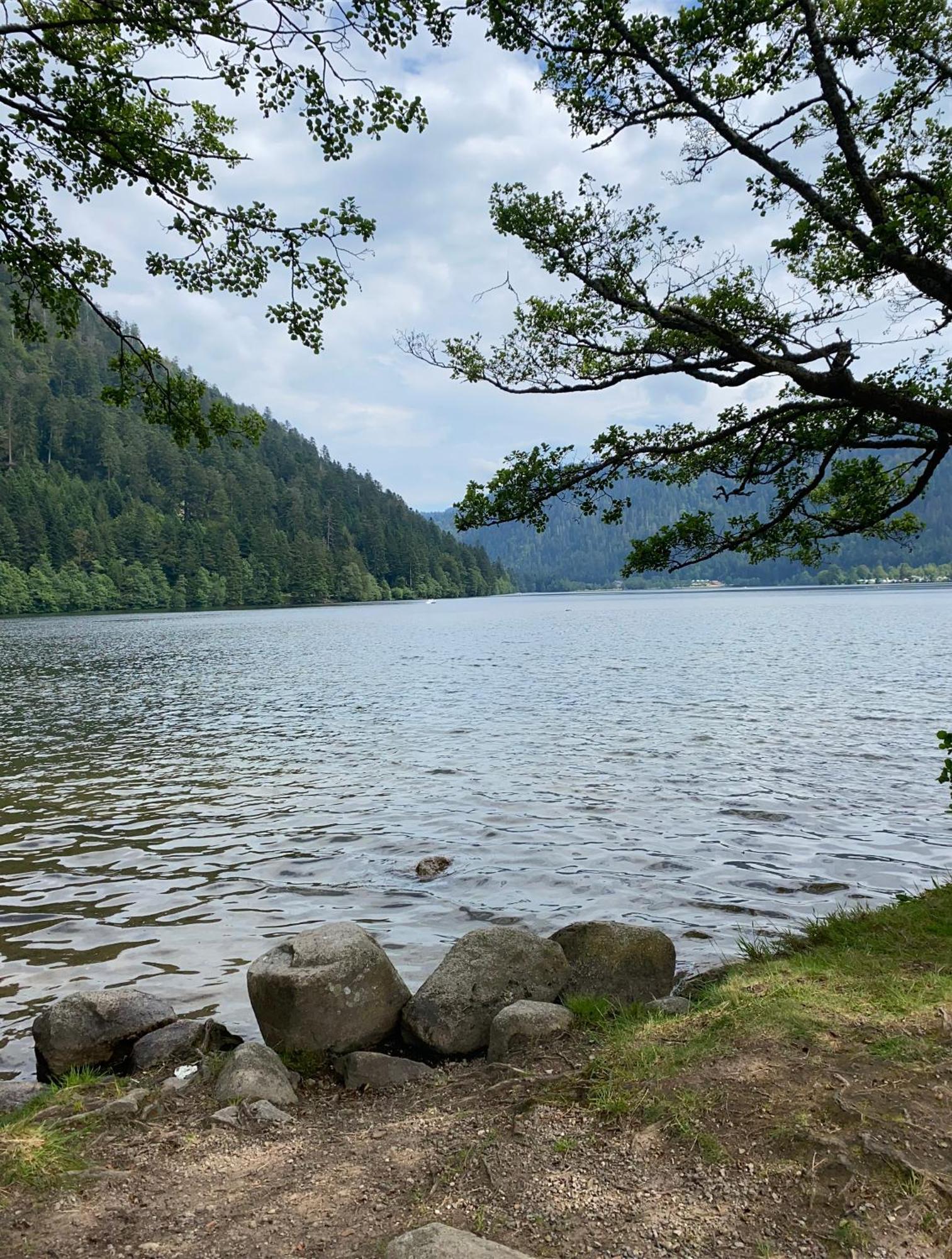 Charmant Chalet, Spacieux, Proche Du Lac, Vue Sur La Montagne Gérardmer Extérieur photo